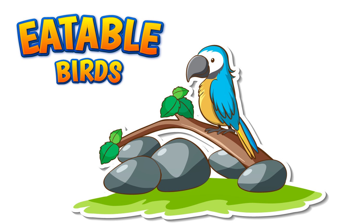 New Eatable Birds