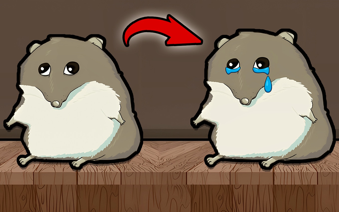 Evolution of hamster - Clicker Plus